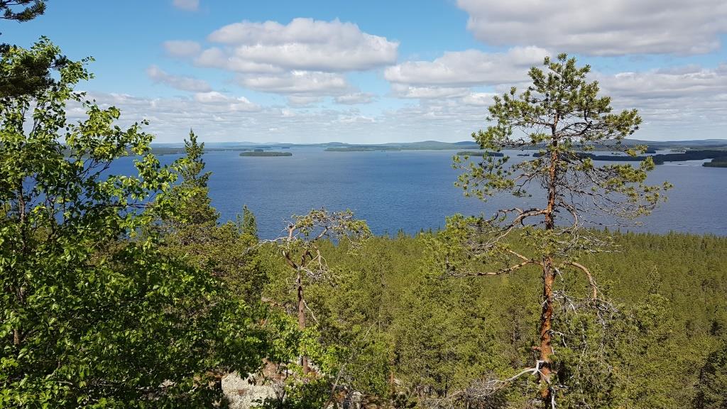 Ämmänselkä 2.jpg