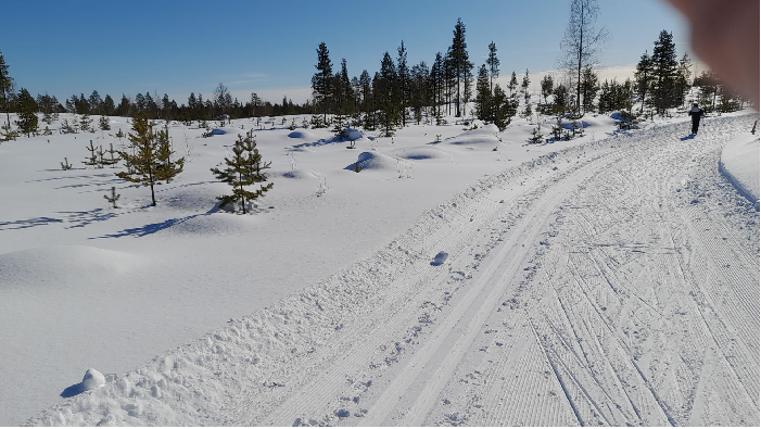 Kemijärvi Peurakankaalla on hieno latuverkosto!.png