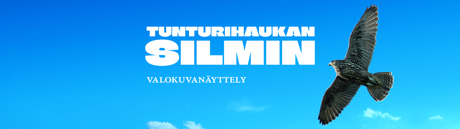 Banner_haukka_versio2.jpg