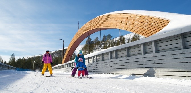 Pyhätunturin-tontit-visitkemijärvi.jpg